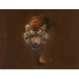 Lyn Godwin "Striped Fury" Tiger Pastel Drawing