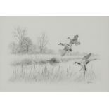 David Maas Graphite Drawing of Ducks