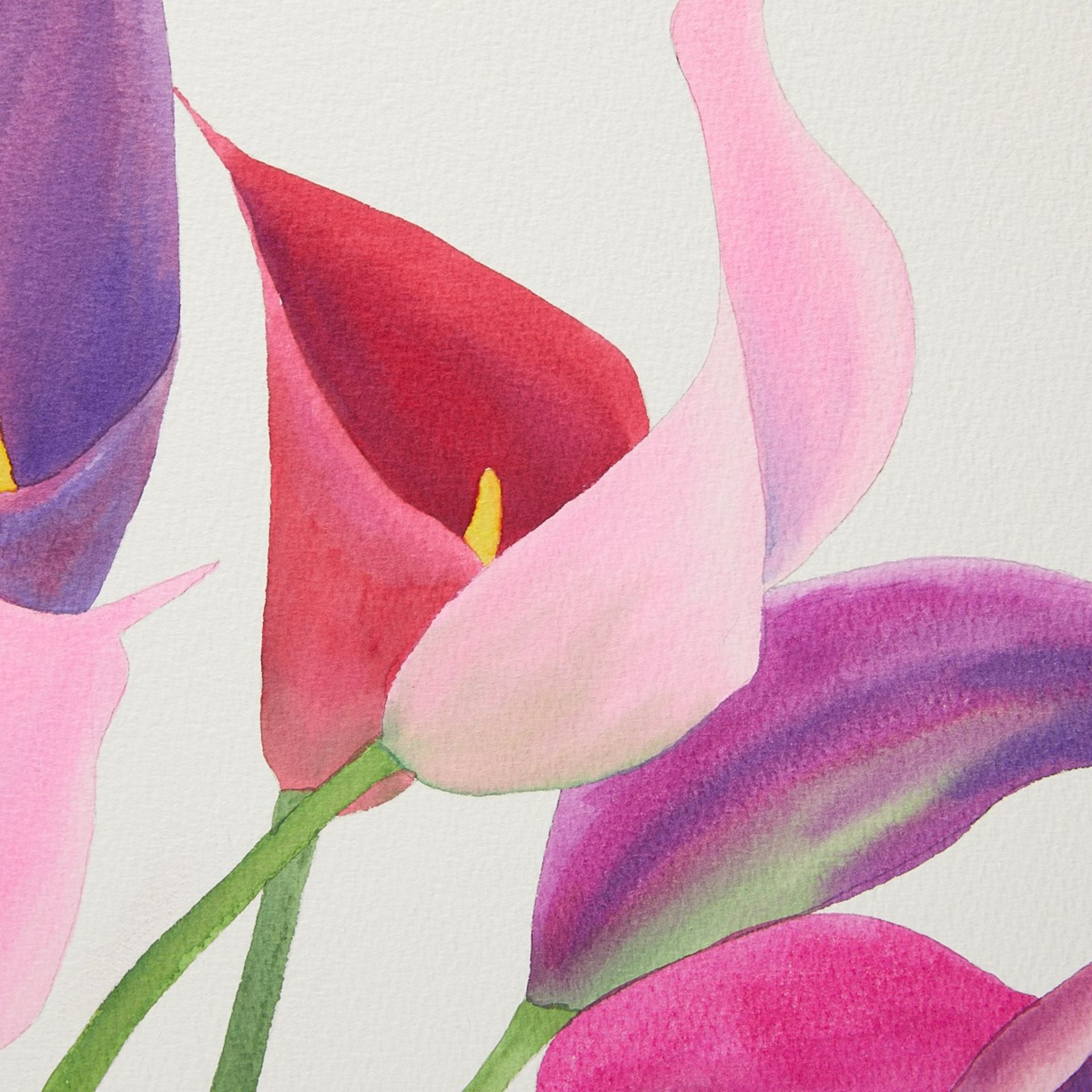 Ed Baynard "12 Calla Lilies" Watercolor 2006 - Bild 10 aus 10