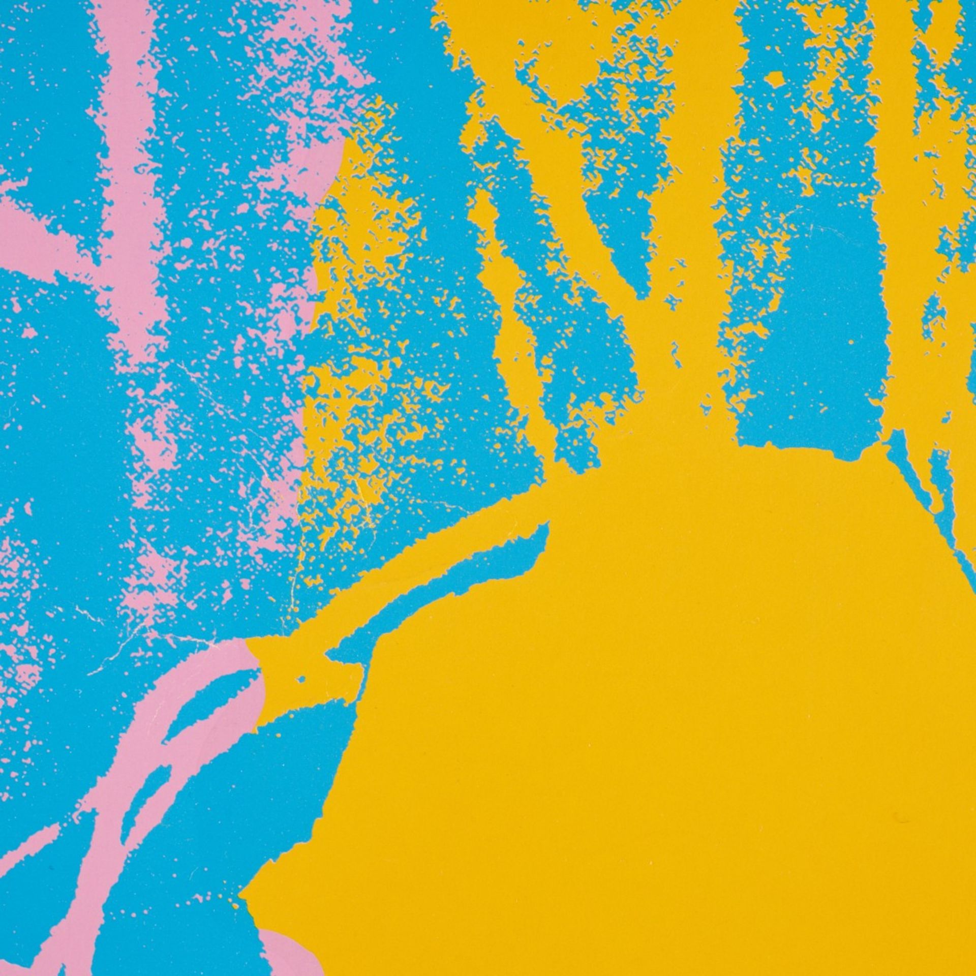 2 After Andy Warhol "Flower" Silkscreens - Bild 11 aus 14