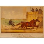 Currier & Ives "Trotting Gelding Billy D" Print