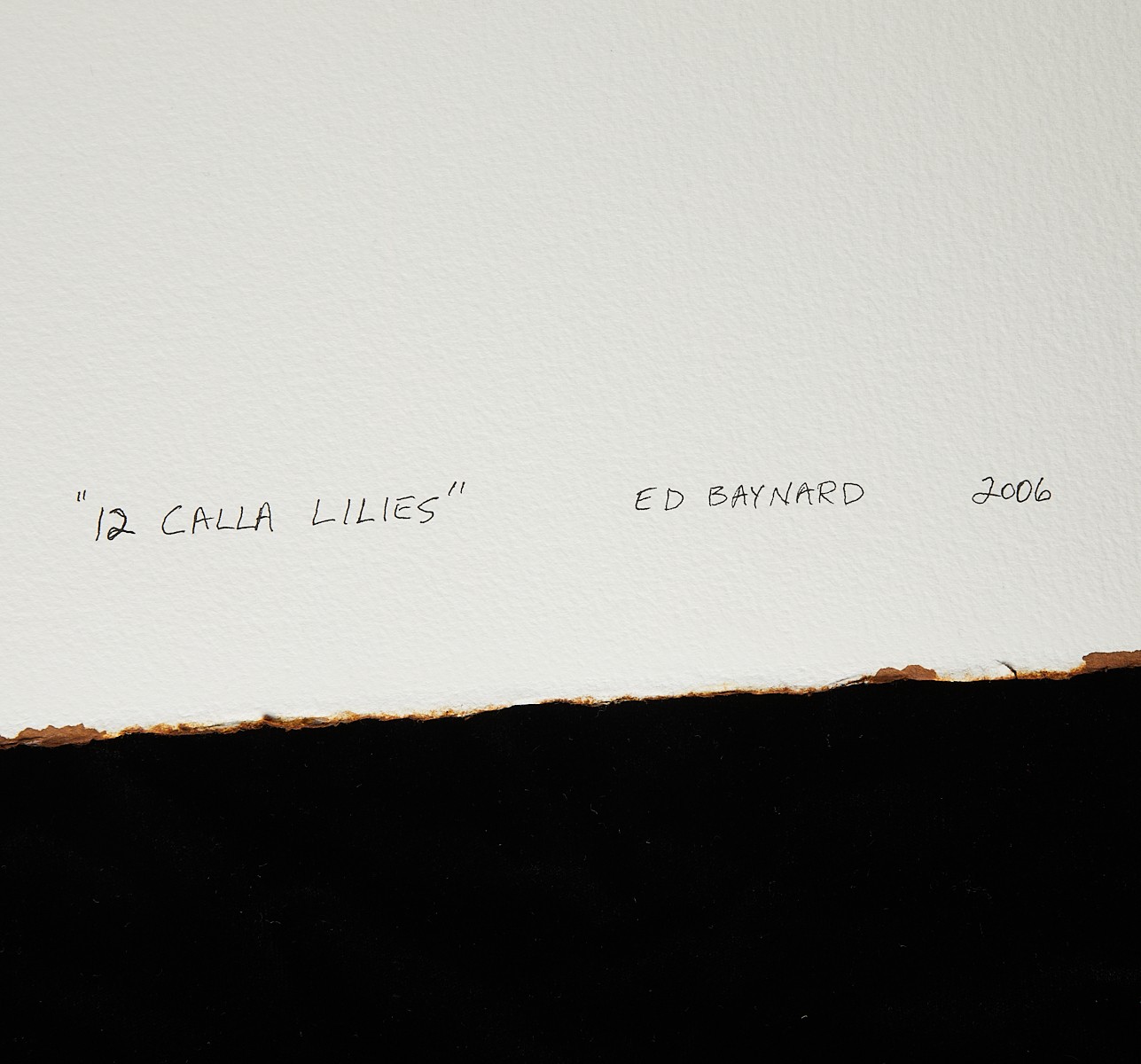 Ed Baynard "12 Calla Lilies" Watercolor 2006 - Image 8 of 10