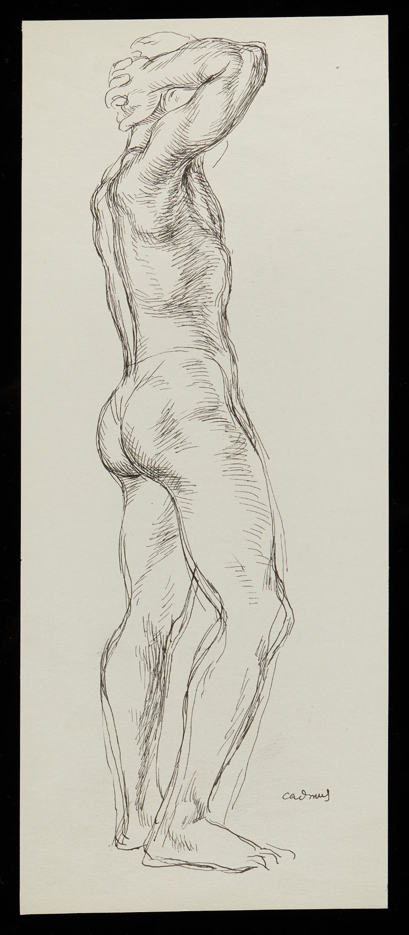 Paul Cadmus Standing Male Nude Ink on Paper