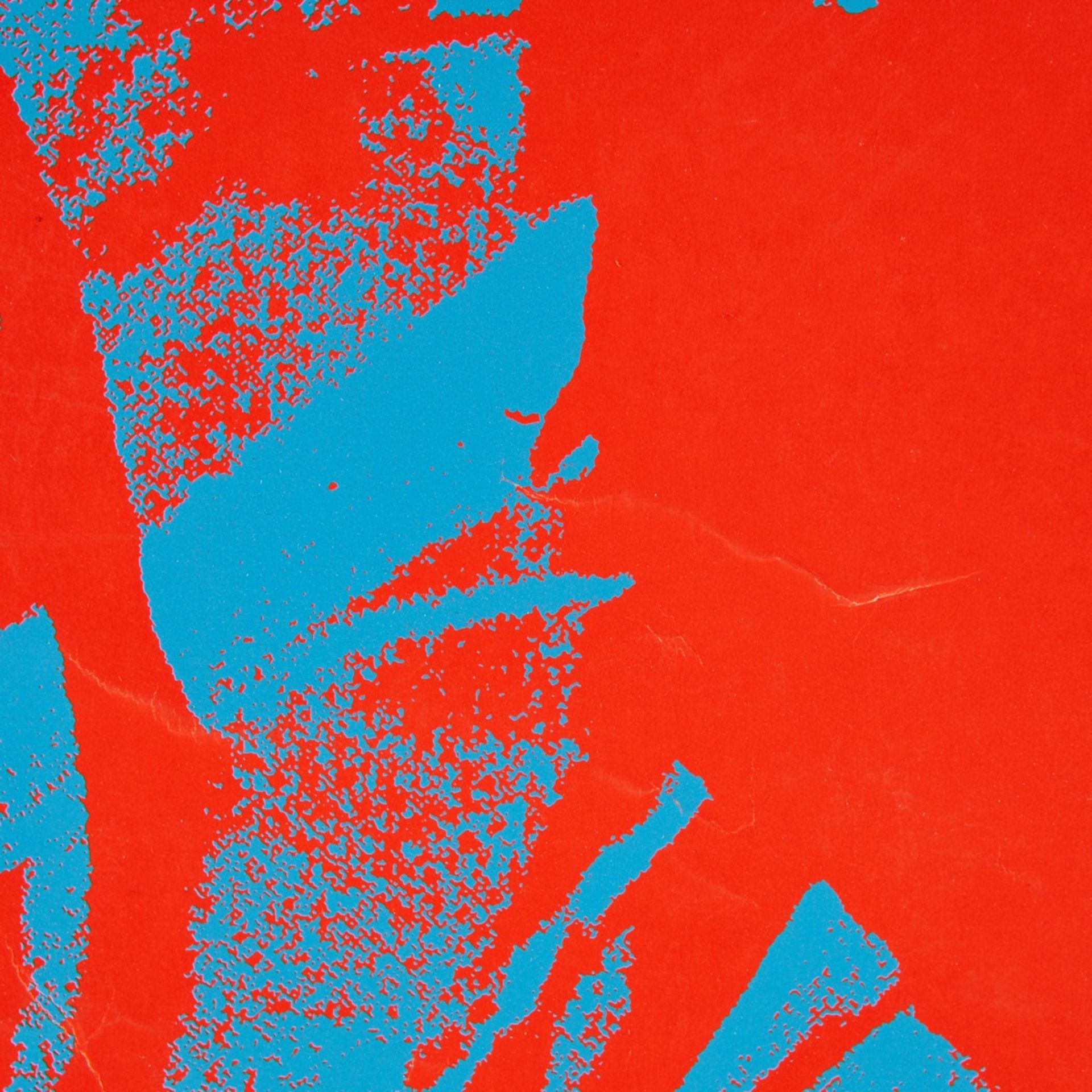 2 After Andy Warhol "Flower" Silkscreens - Bild 10 aus 14