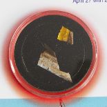 Apollo 16 Flown Kapton Fragments w/ COA