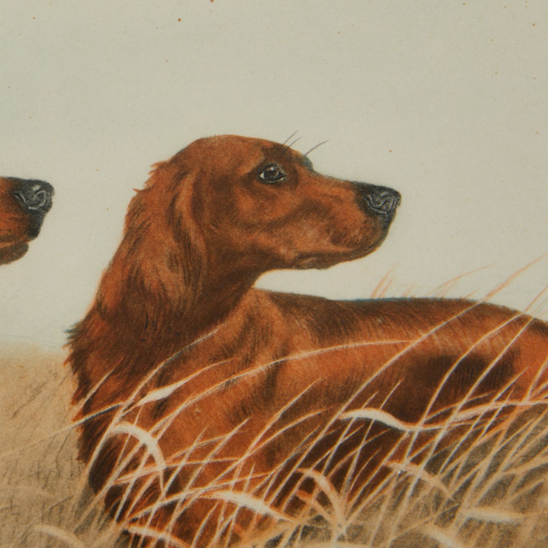Group of 2 Leon Danchin Hunting Dog Etchings - Bild 3 aus 11