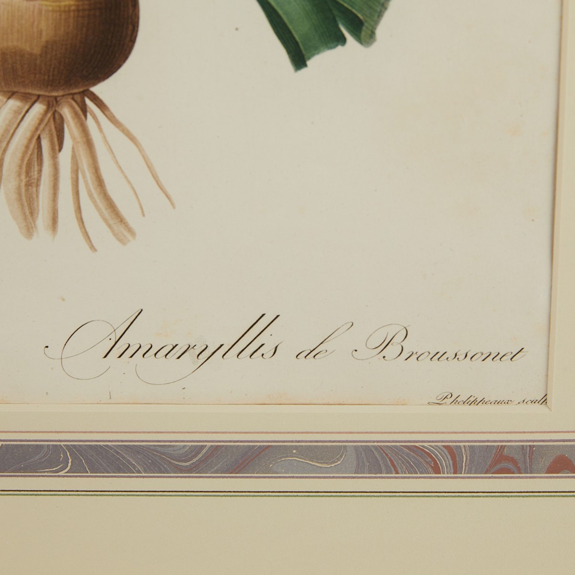 Pierre-Joseph Redoute Lily Botanical Print - Image 5 of 6