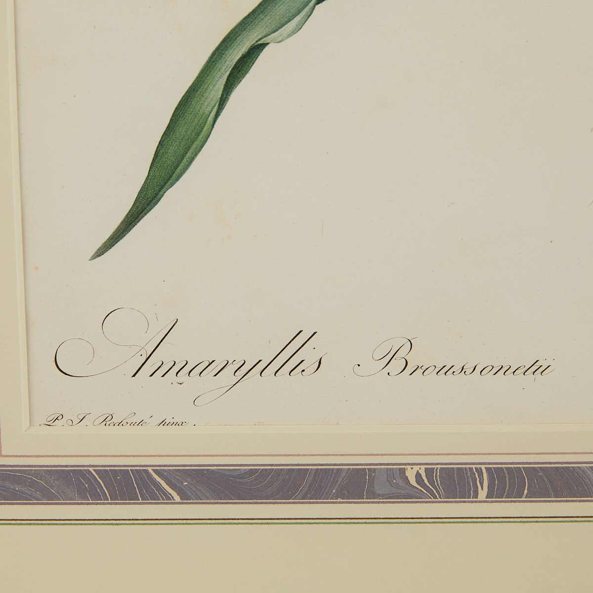 Pierre-Joseph Redoute Lily Botanical Print - Image 2 of 6