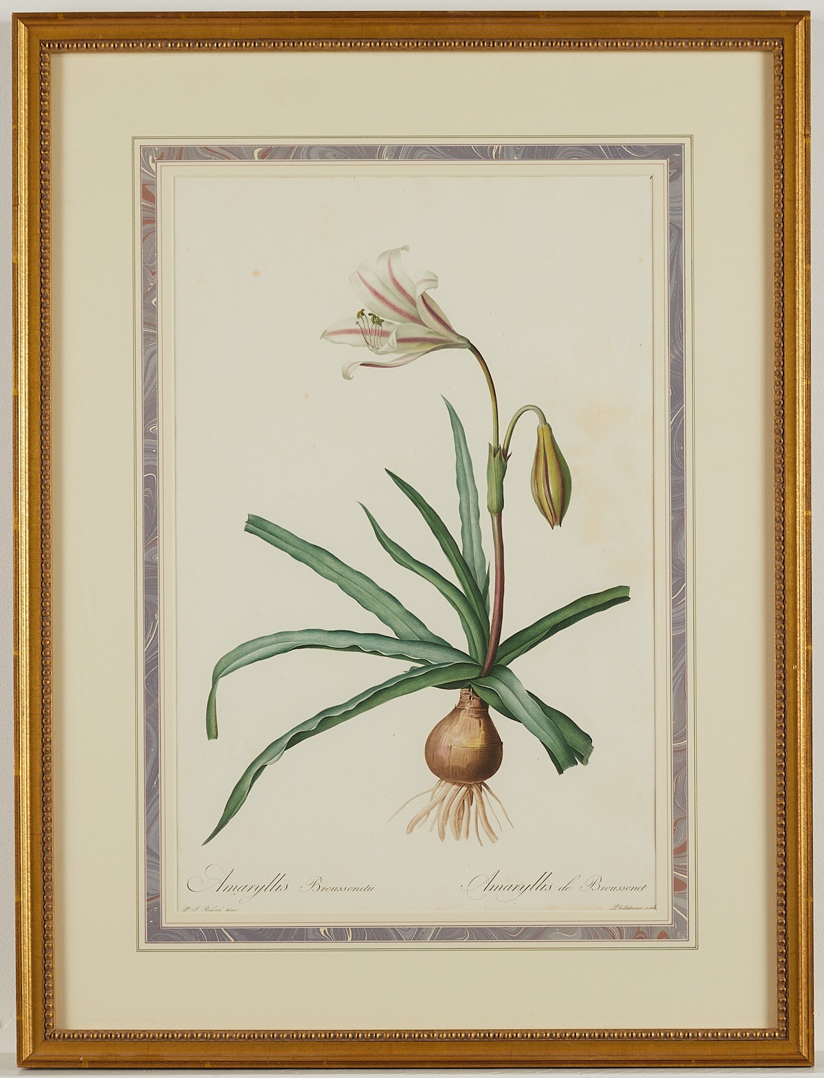 Pierre-Joseph Redoute Lily Botanical Print - Image 3 of 6