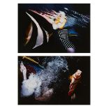 2 Jeff Millikan Cibachrome Fish Dream Photos