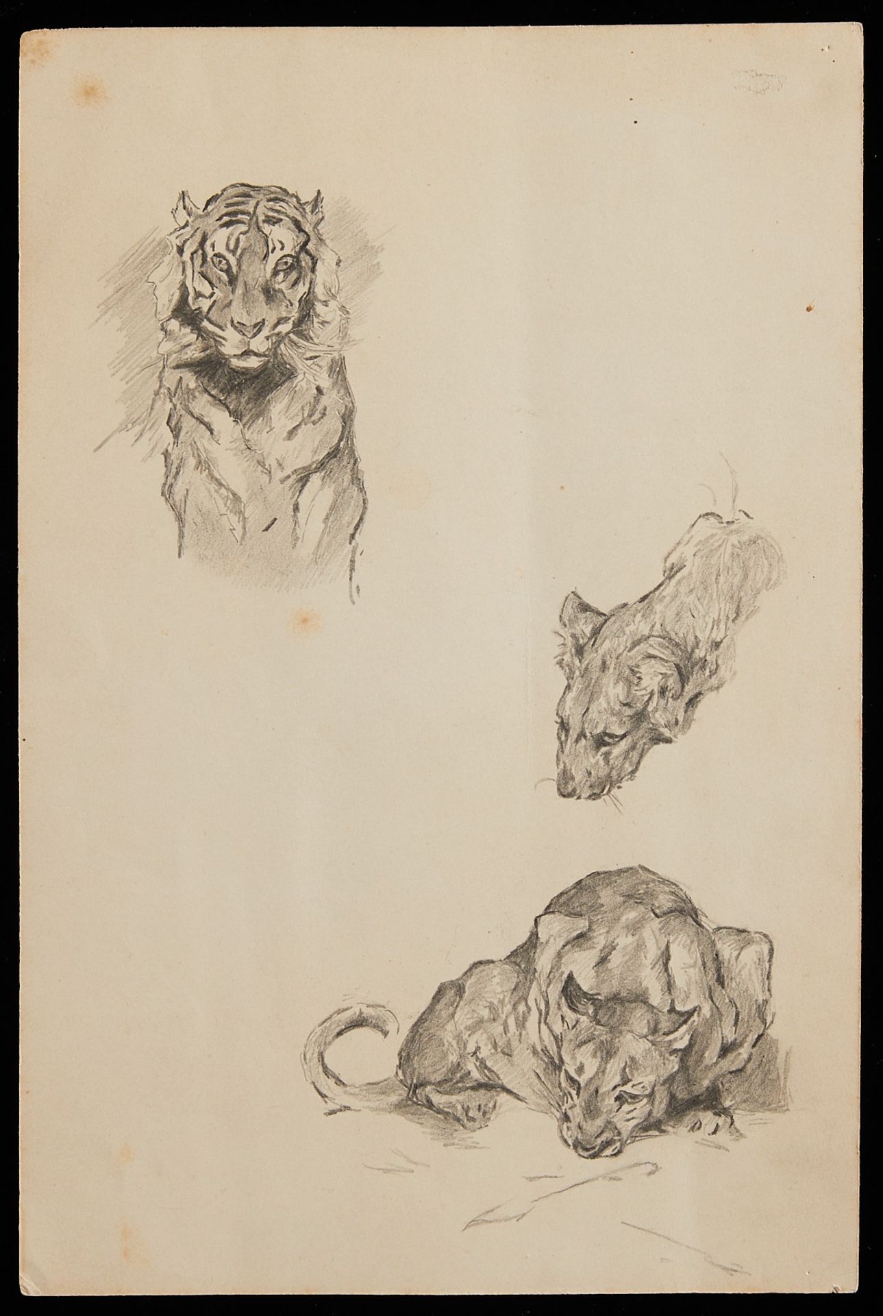 3 Edward Brewer Graphite Sketches Big Cats & Wagon - Image 16 of 17