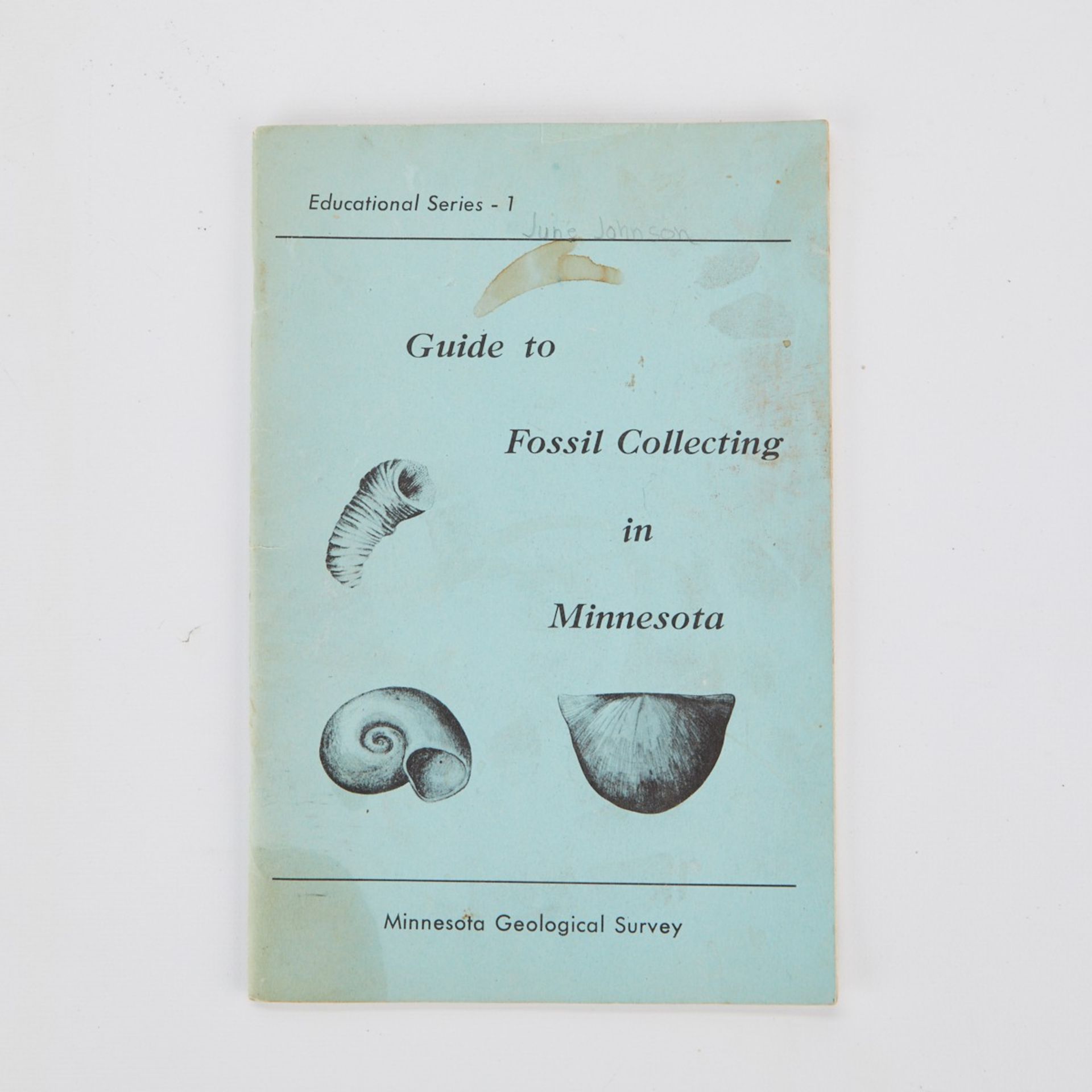 Lrg Grp Minnesota Fossils & 1965 Collecting Guide - Bild 21 aus 21