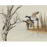 Al Dornisch Watercolor Painting of Waterfowl