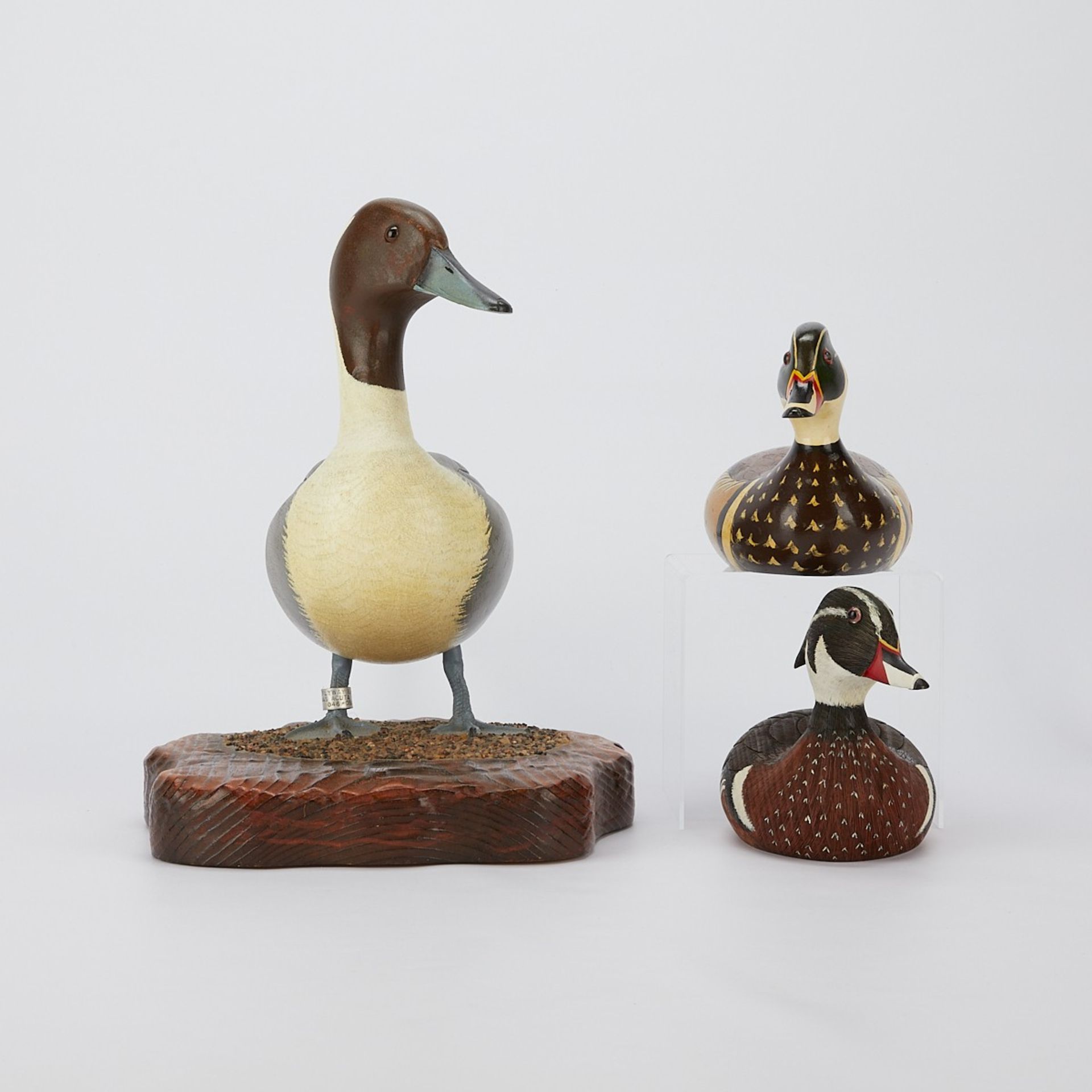 3 Carved Painted Duck Decoys & Models - Image 3 of 18