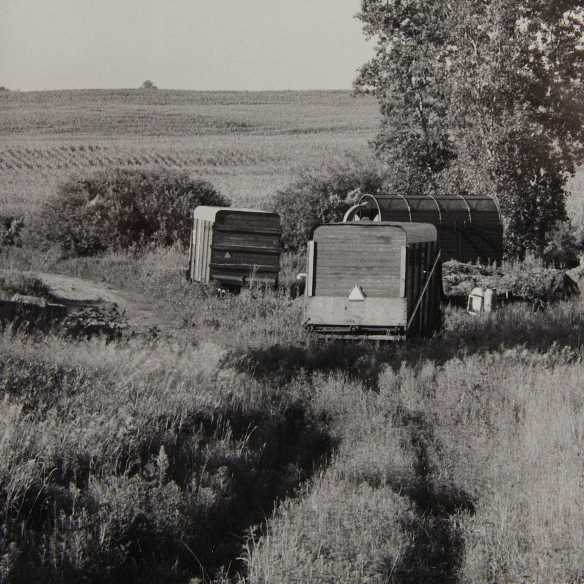 Gregory Conniff "Near Northfield, MN" Photo 1985 - Bild 2 aus 4