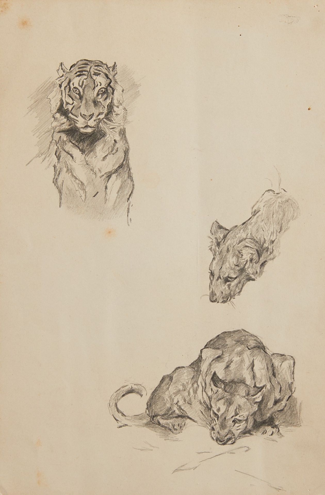 3 Edward Brewer Graphite Sketches Big Cats & Wagon - Image 15 of 17