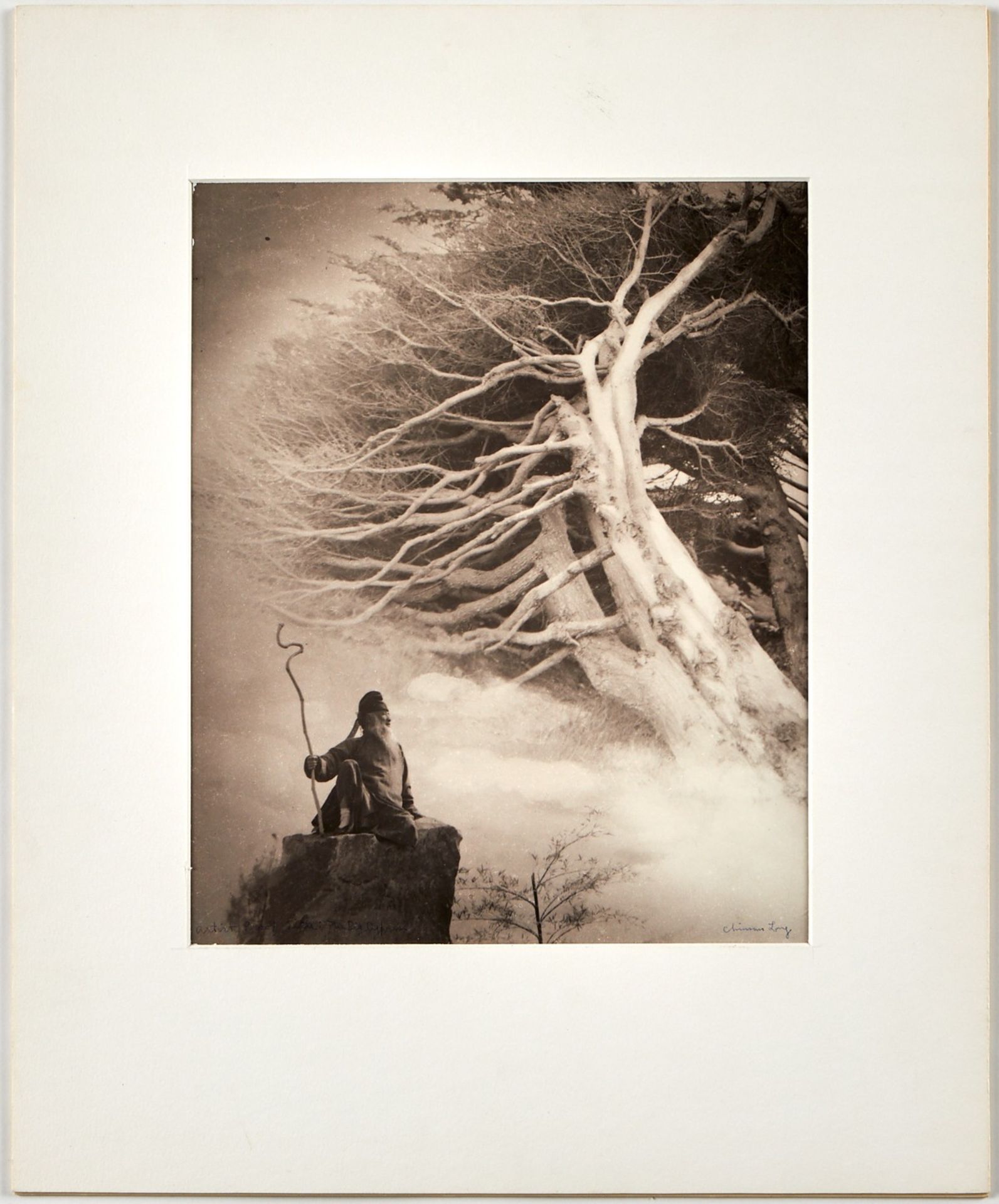 Chin San Long Photo Zhang Daqian Cypress Trees - Bild 2 aus 4