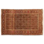 Persian Senneh-Kurd Wool/Cotton Rug 5'9" x 3'8"