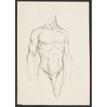 Paul Cadmus Male Nude Torso Ink on Paper