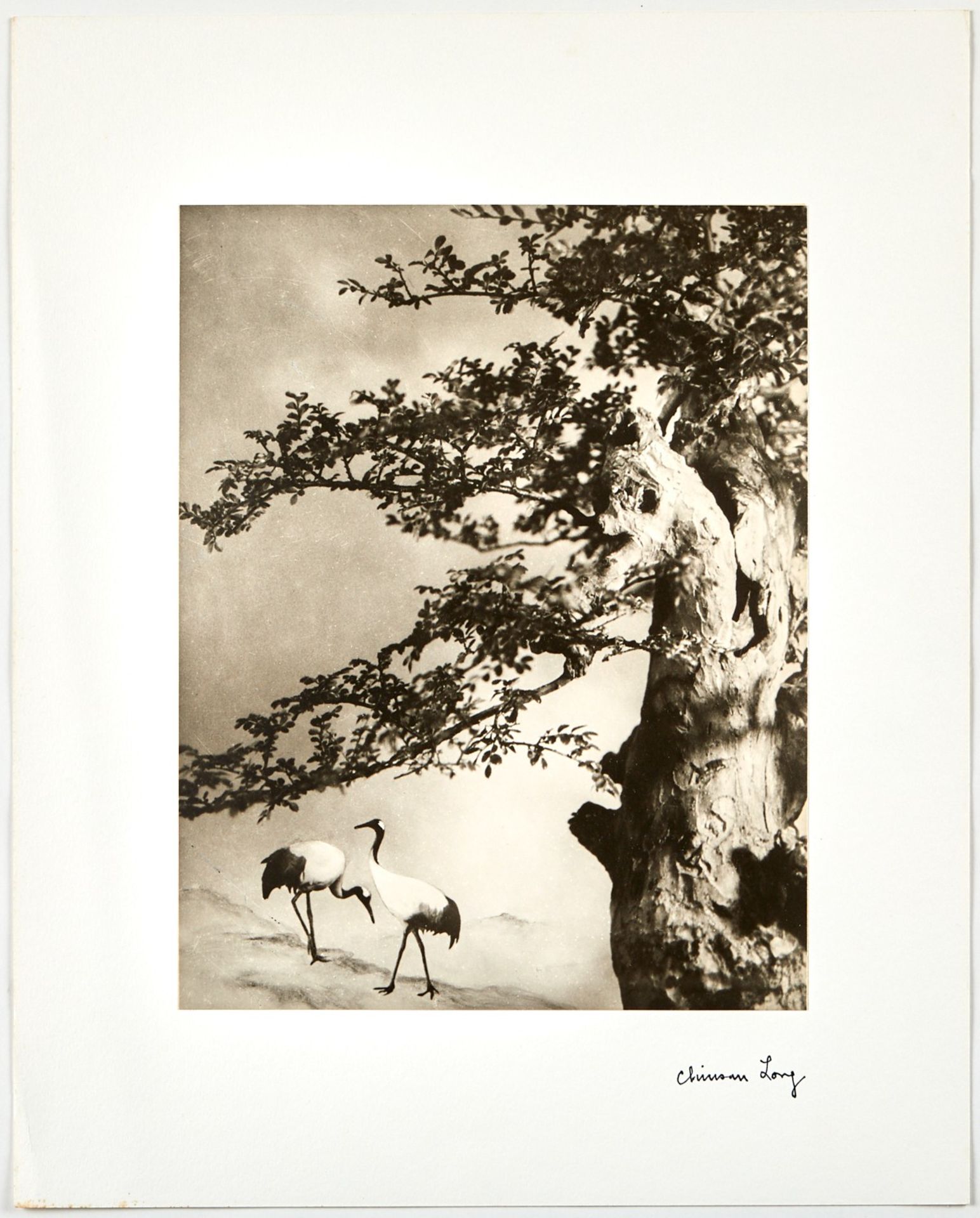 Chin San Long Photograph - A Pair of Cranes - Bild 2 aus 3
