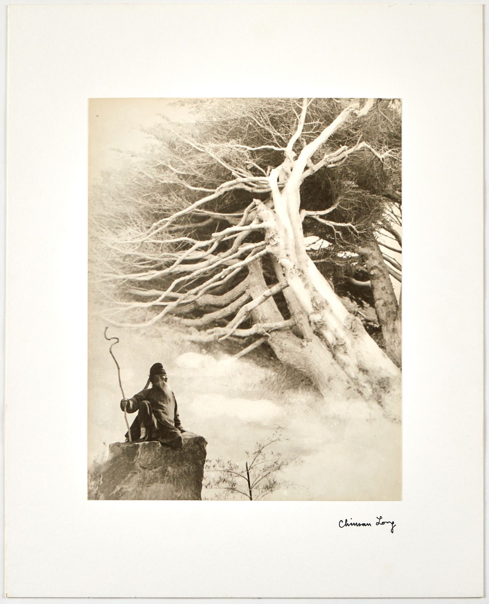 Chin San Long Photo Zhang Daqian Cypress Trees - Bild 2 aus 3