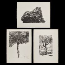 3 Avigdor Arikha Lithographs 1975