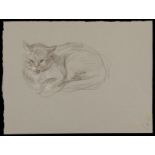 Paul Cadmus Cat Crayon on Paper Drawing