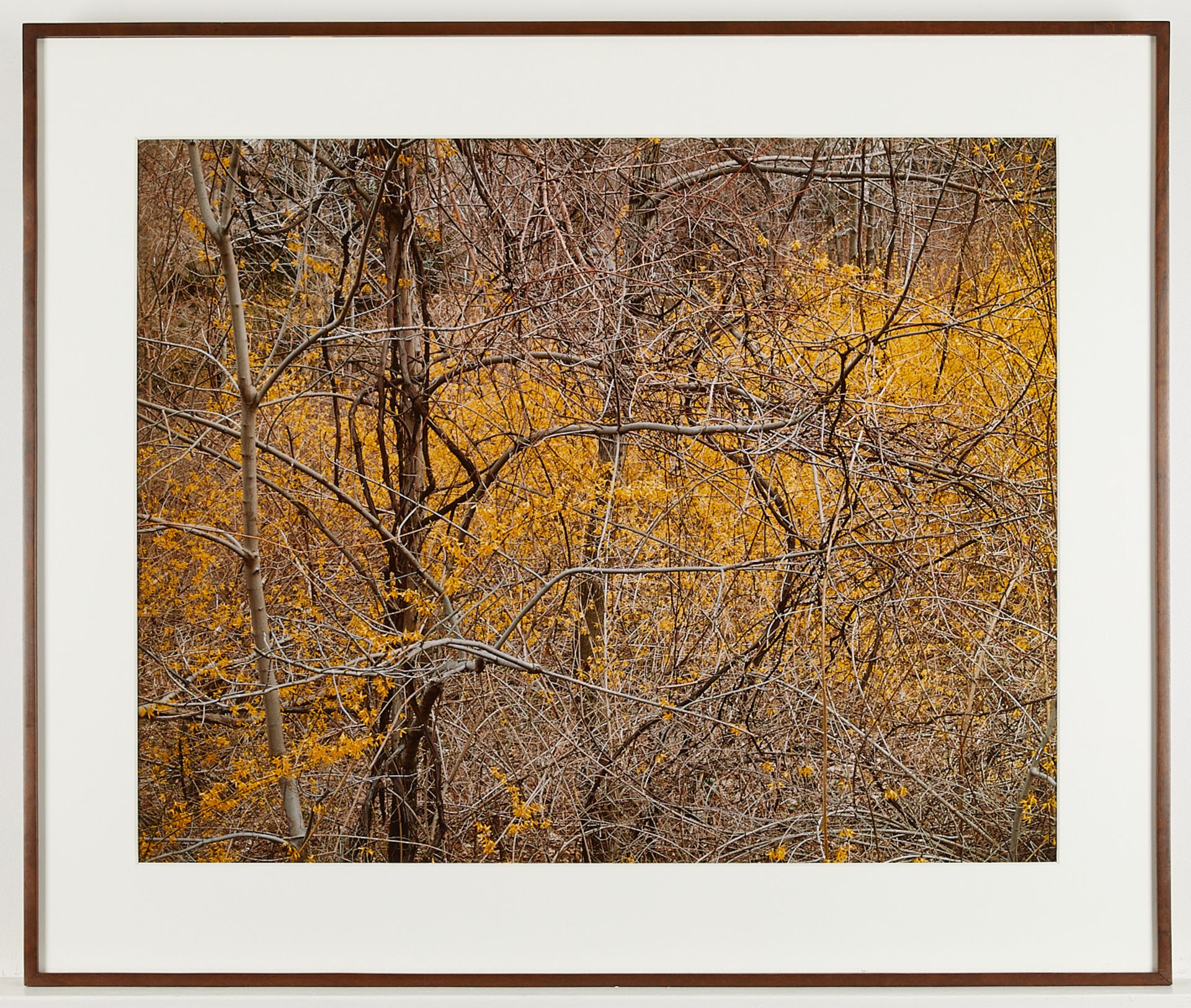 Robert Glenn Ketchum Autumn Leaves C-print - Bild 3 aus 6