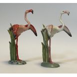 Flamingo-Paar Nymphenburg