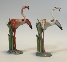Flamingo-Paar Nymphenburg