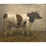 Unbekannter Künstler, Stehende Kuh auf der Weide