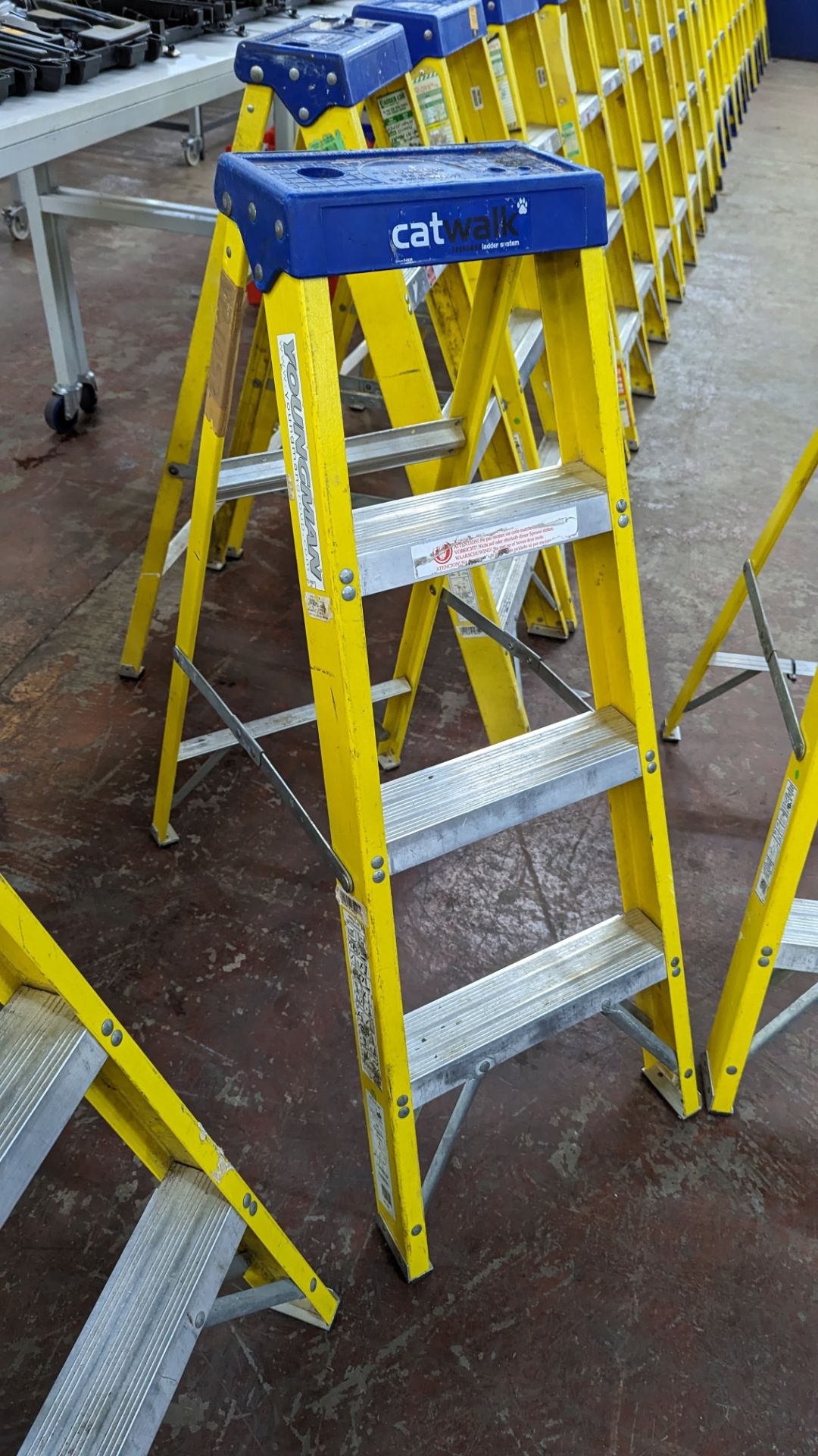 2 off Youngman 4 thread insulated stepladders. N.B. the stepladders forming lots 329 to 335 all app - Image 2 of 7