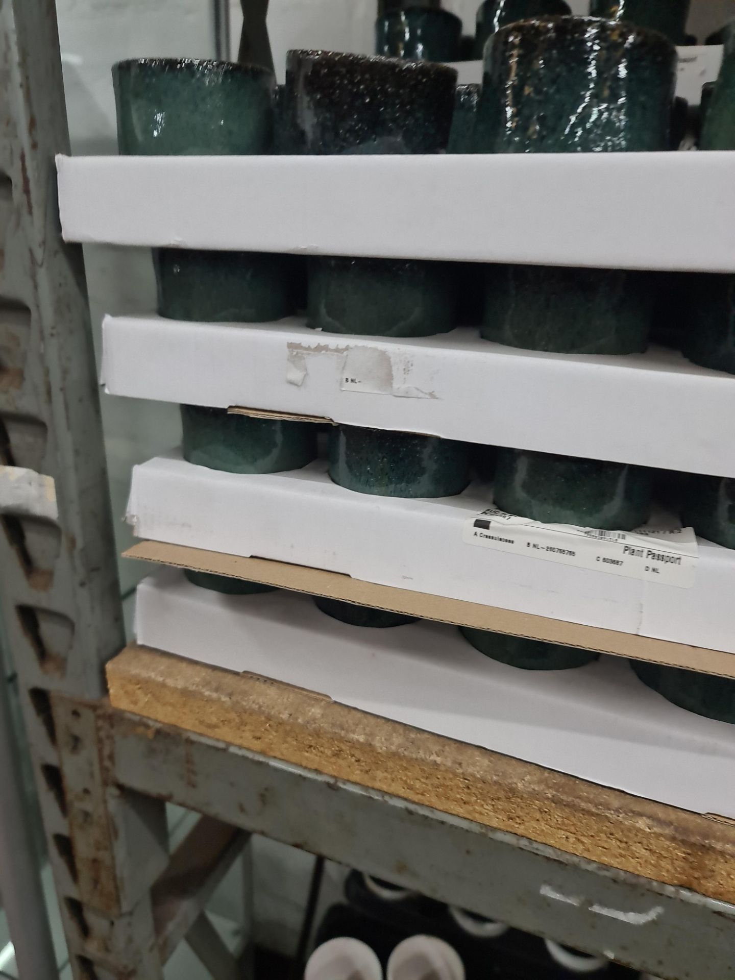9 trays of Kobe green pots. Approximately 133 pots in total - Image 4 of 6