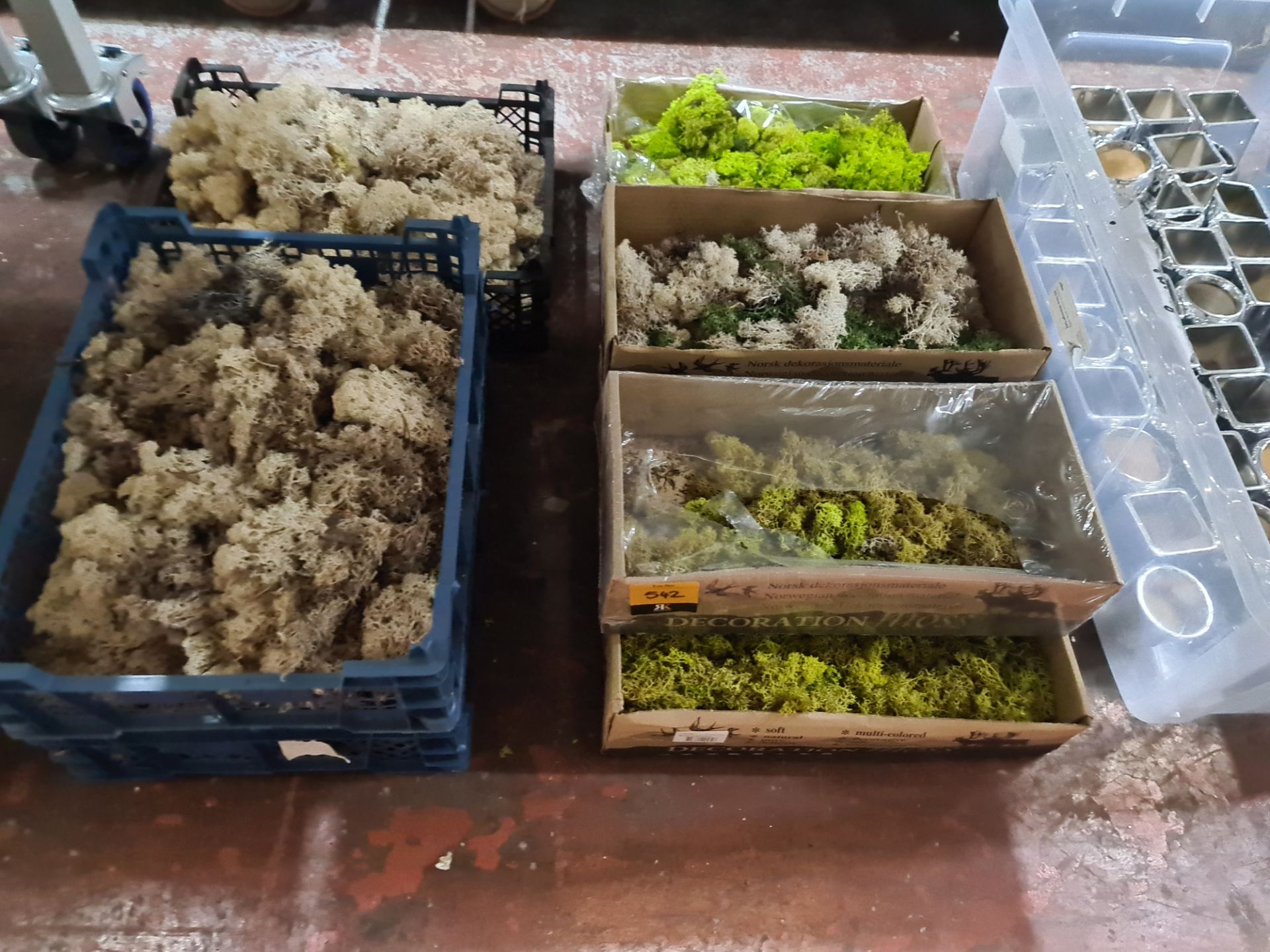 9 off assorted card and plastic trays of moss