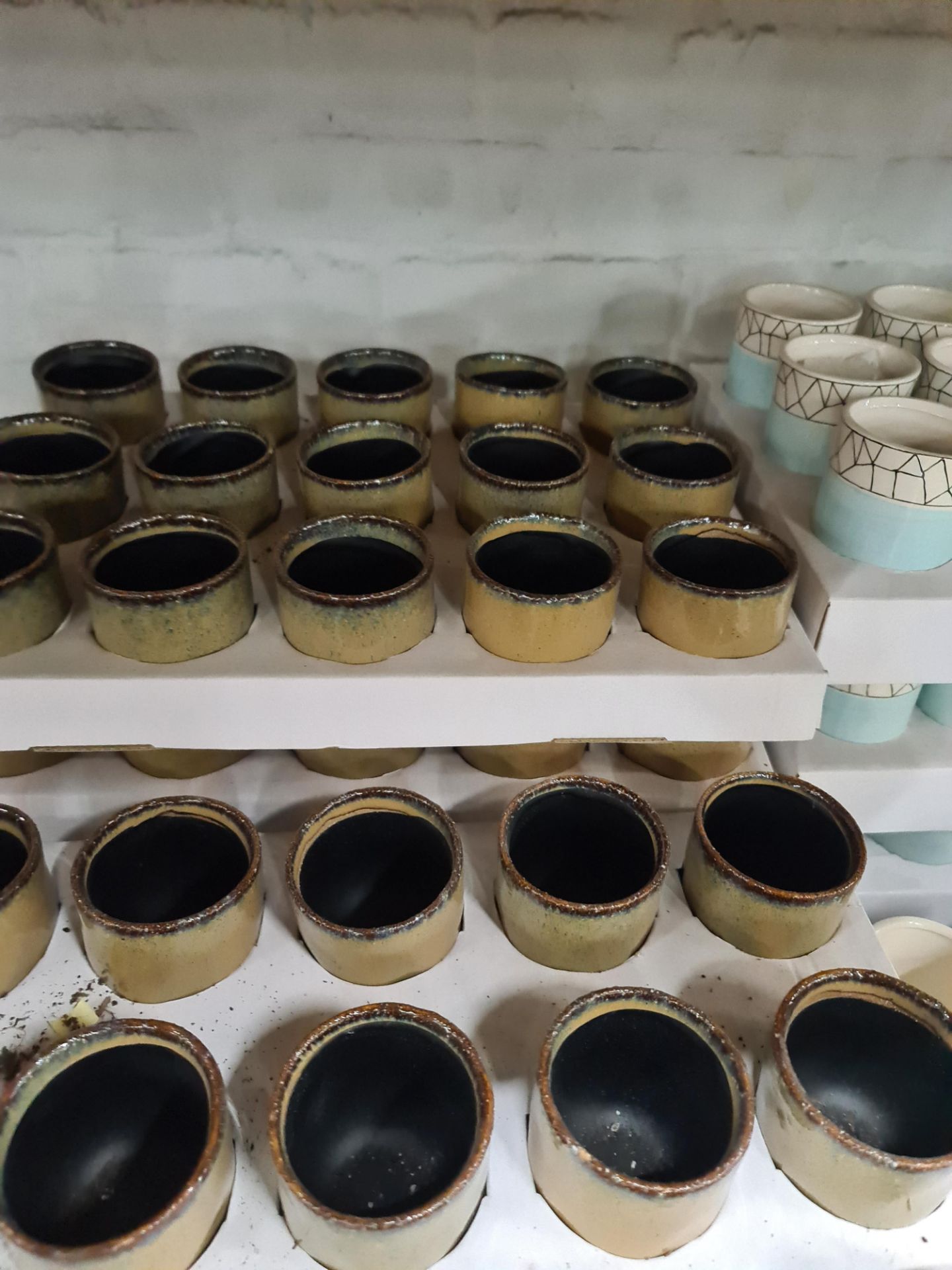 7 trays of Kobe 5.5cm brown pots. Approximately 102 pots in total - Image 5 of 6