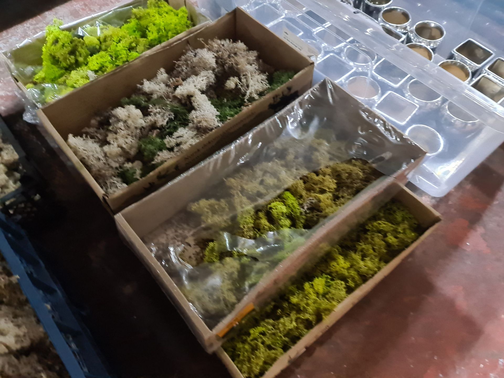 9 off assorted card and plastic trays of moss - Image 6 of 8
