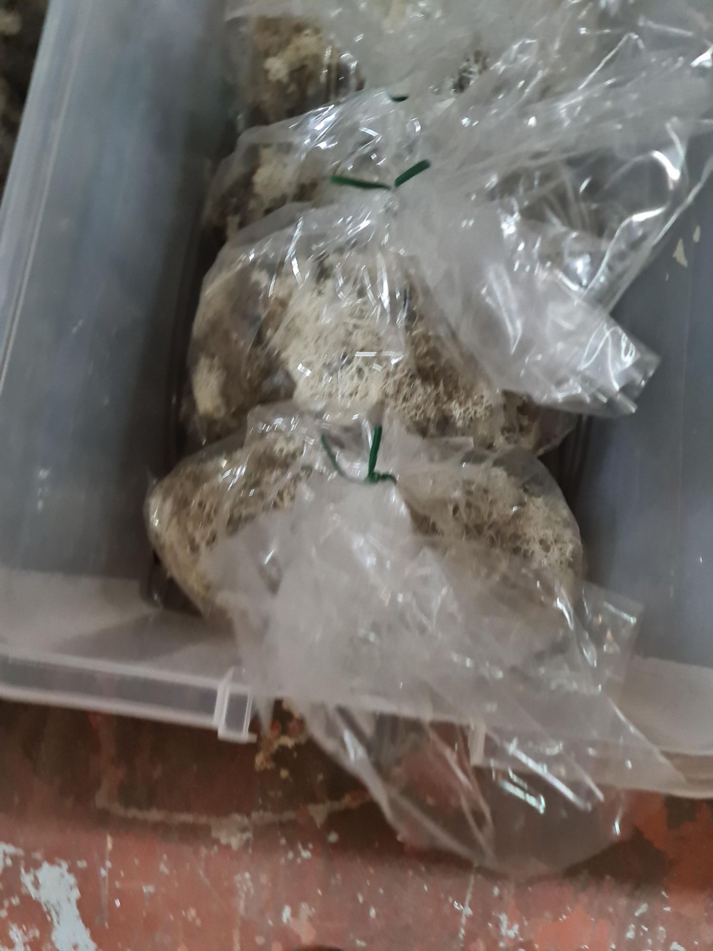 4 bags of APAC DF4001 reindeer moss - Image 4 of 5