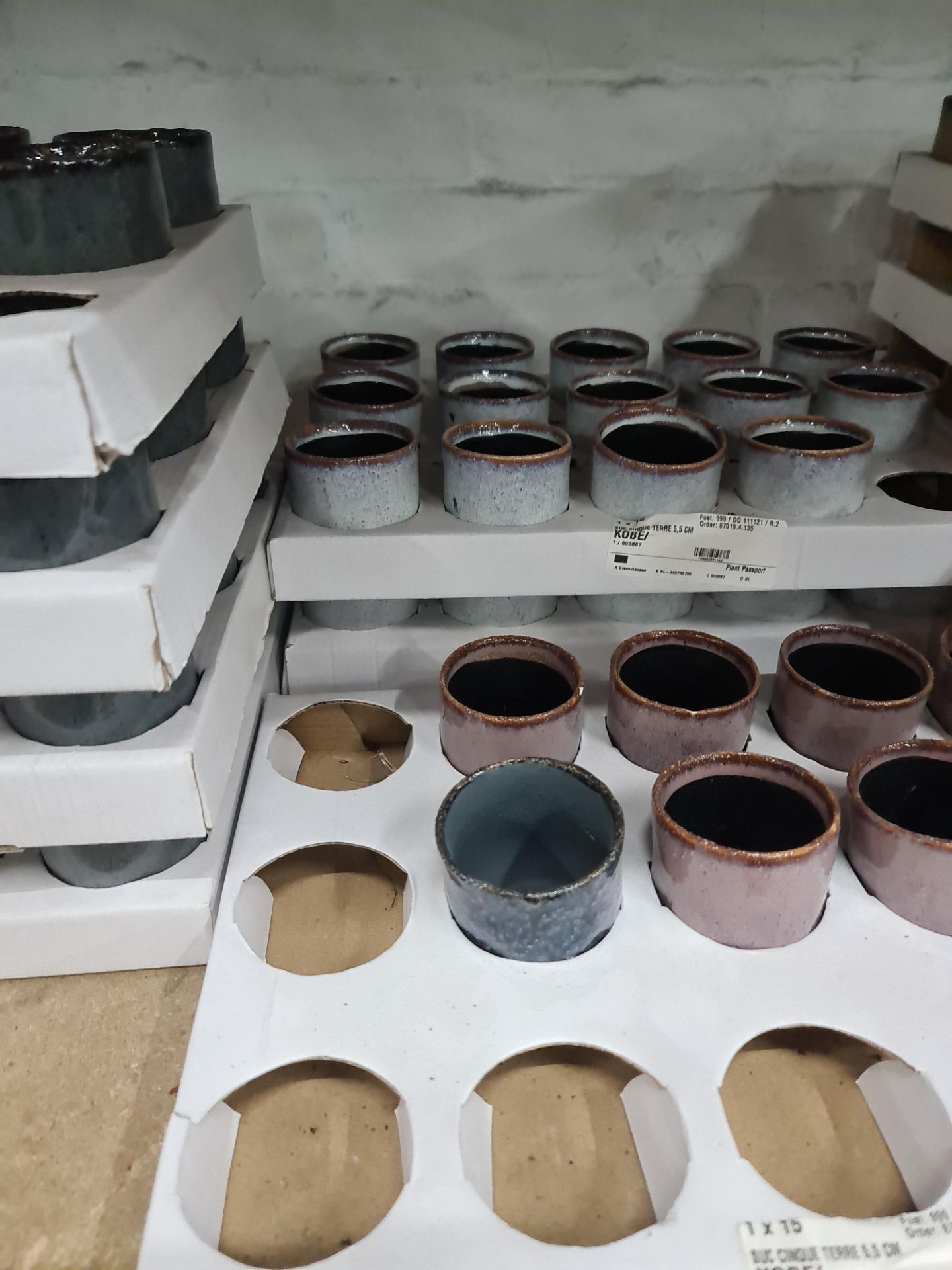 7 trays of 5.5cm Kobe pots in assorted colours. Approximately 90cm pots in total - Image 2 of 9