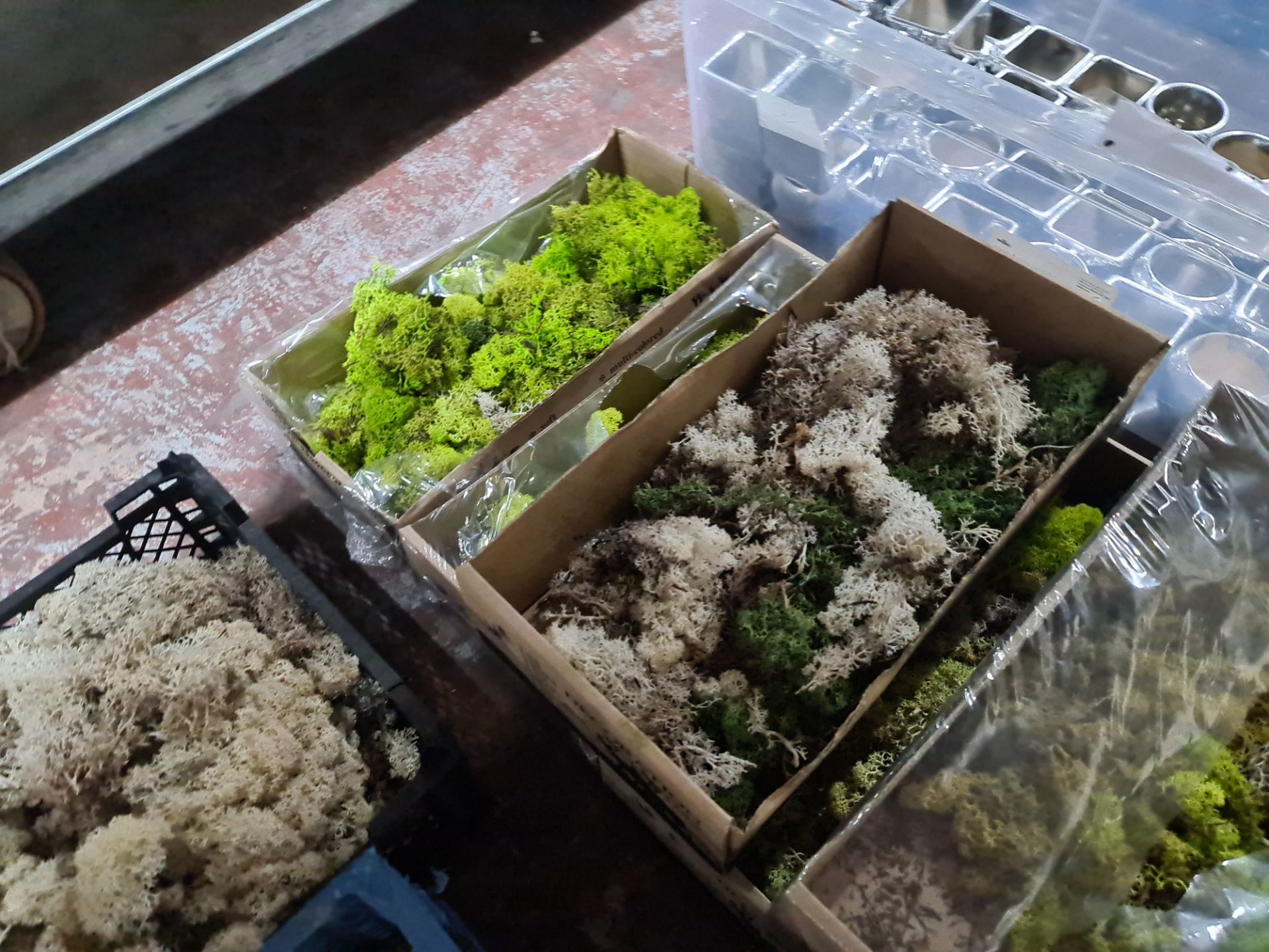 9 off assorted card and plastic trays of moss - Image 5 of 8