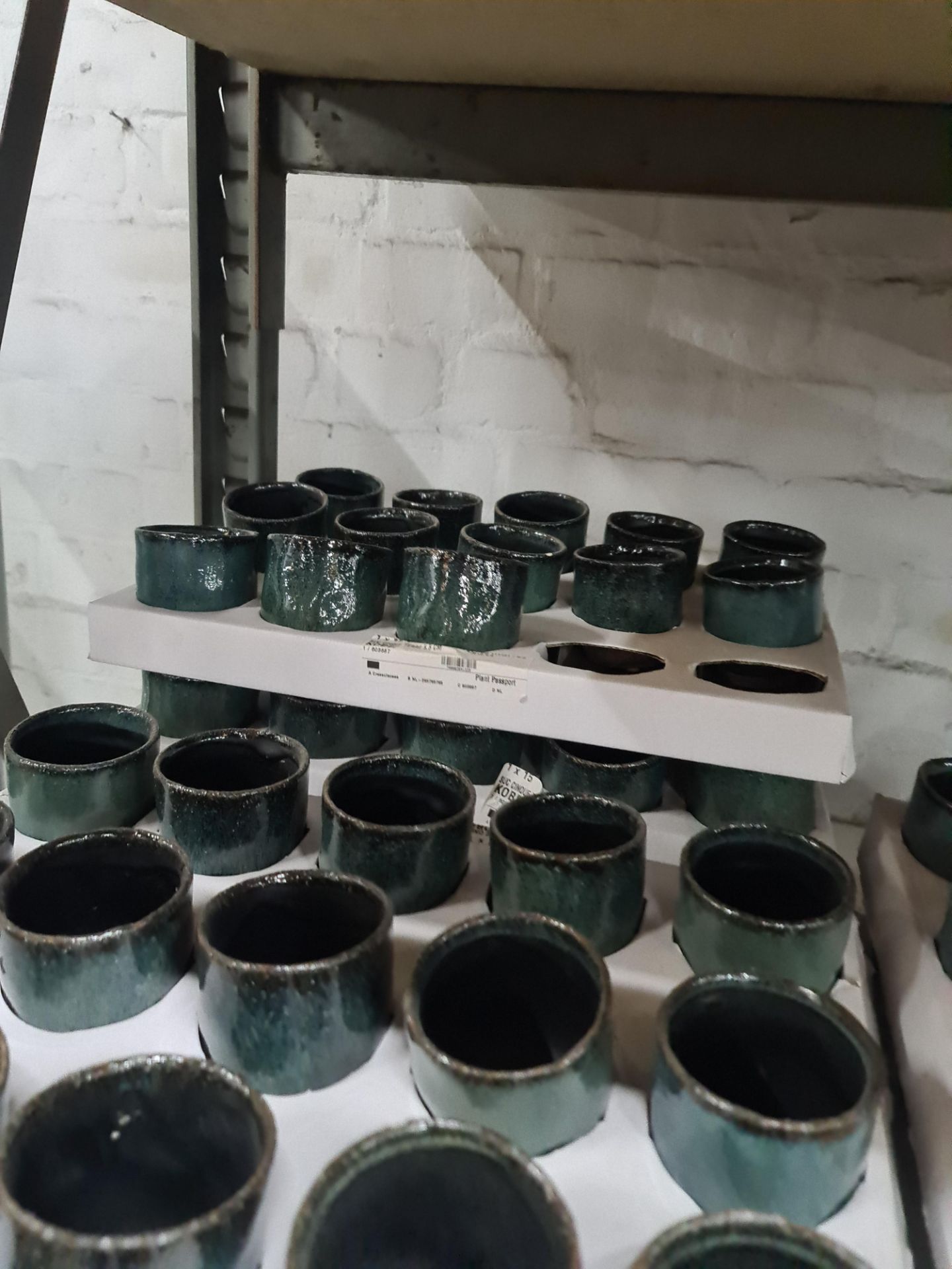 9 trays of Kobe green pots. Approximately 133 pots in total - Image 5 of 6