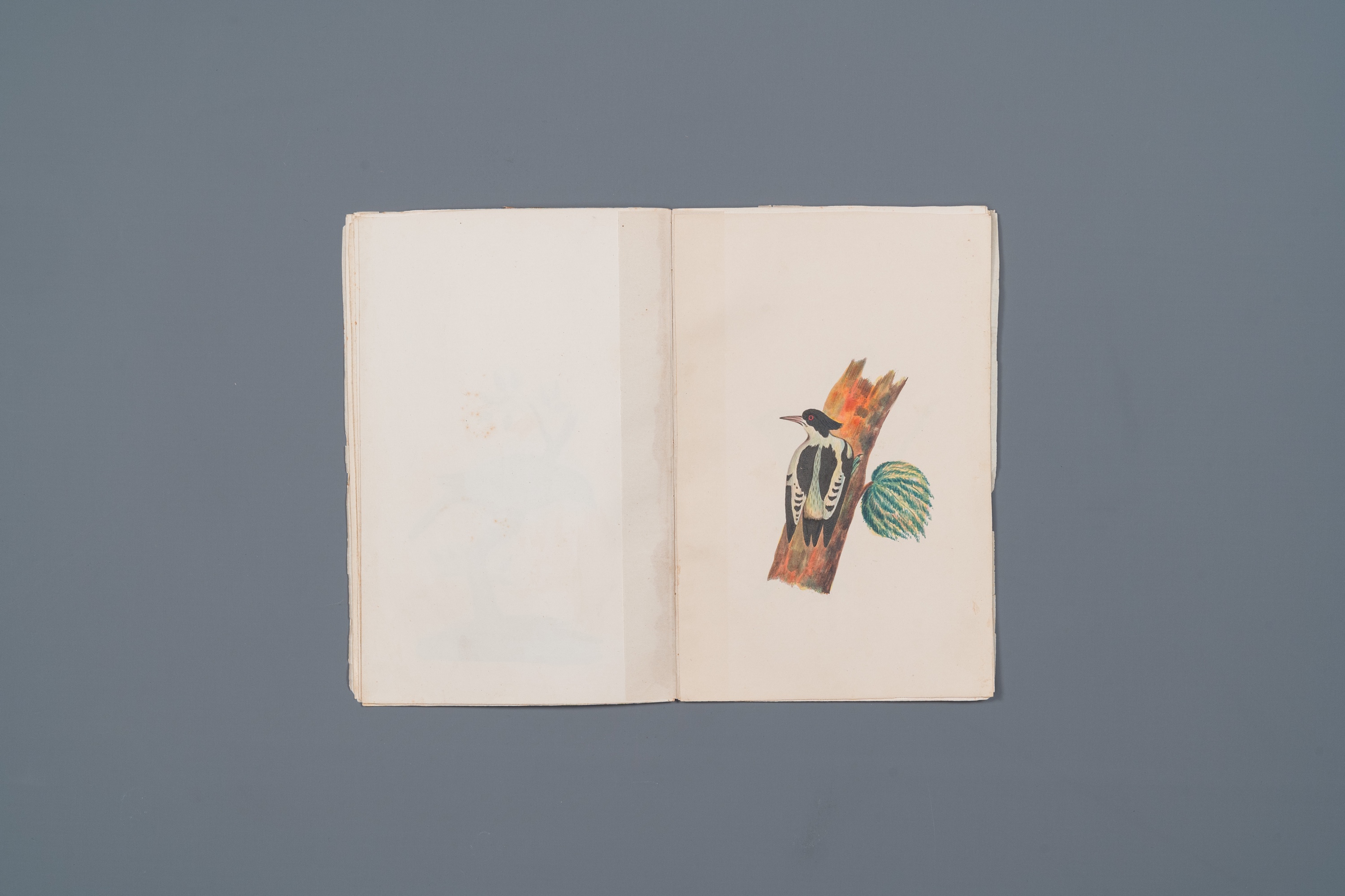 Album with 12 Indian bird paintings, 19th C. - Image 8 of 15