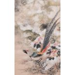 Xu Yunshu å¾é›²å” (1947- ): 'Pheasant', ink and colour on paper