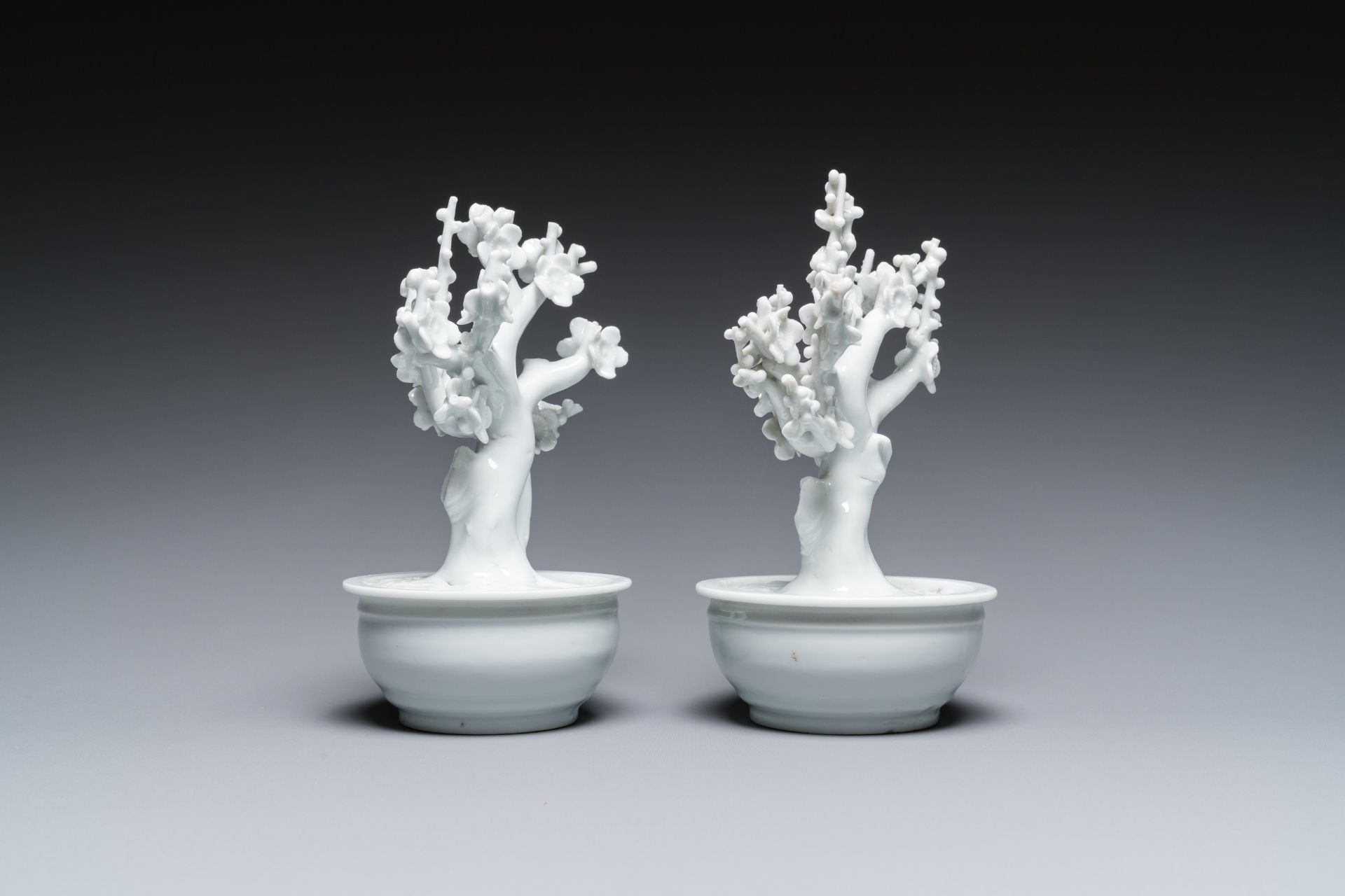 A pair of Chinese blanc de Chine models of trees in jardinieres, Kangxi - Image 4 of 7