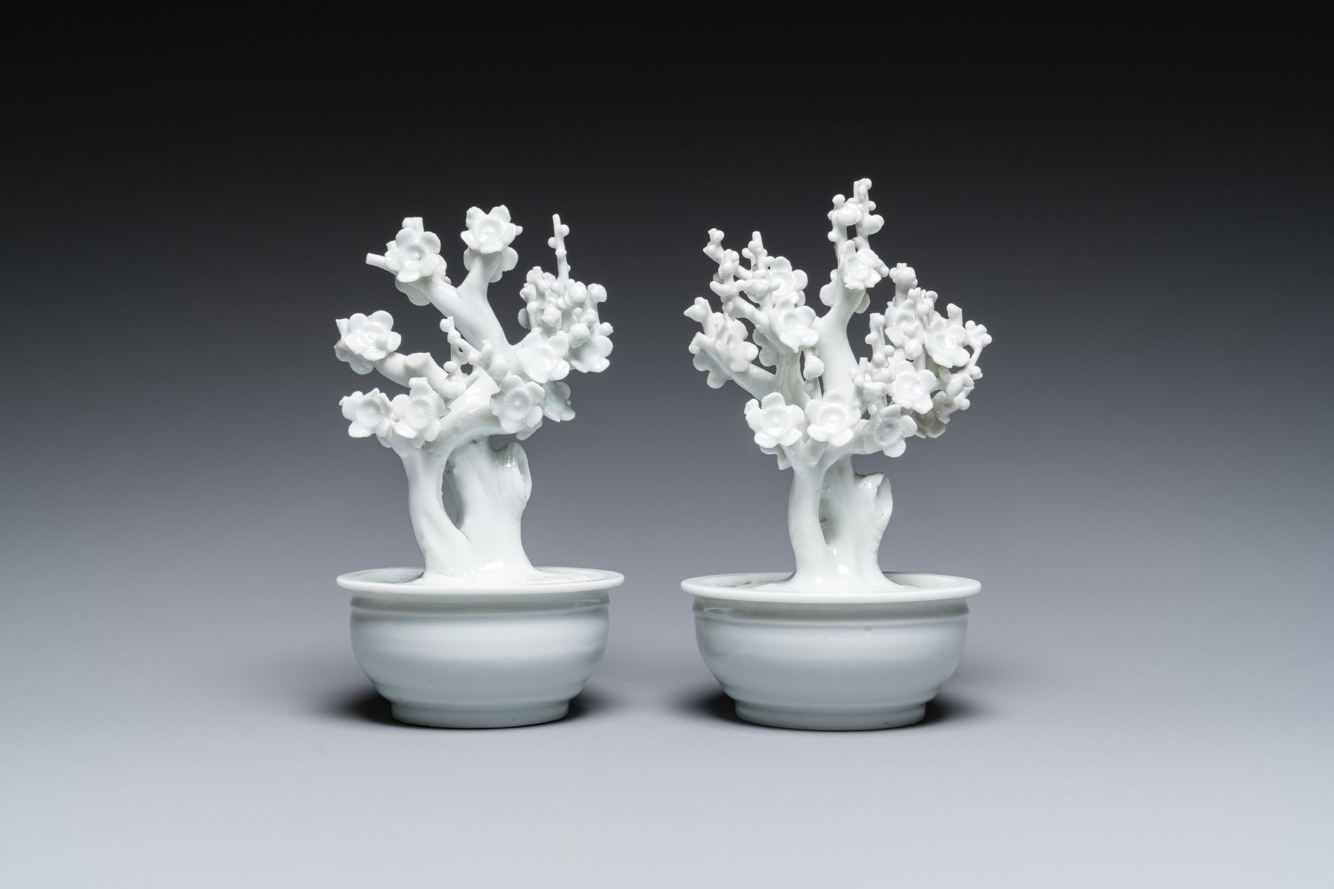 A pair of Chinese blanc de Chine models of trees in jardinieres, Kangxi - Image 2 of 7