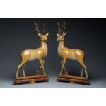 A very fine and large pair of Chinese cloisonne models of deer on reticulated wooden stands, 19th C.