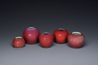 Five Chinese copper-red and flambe-glazed water pots, 19th C.