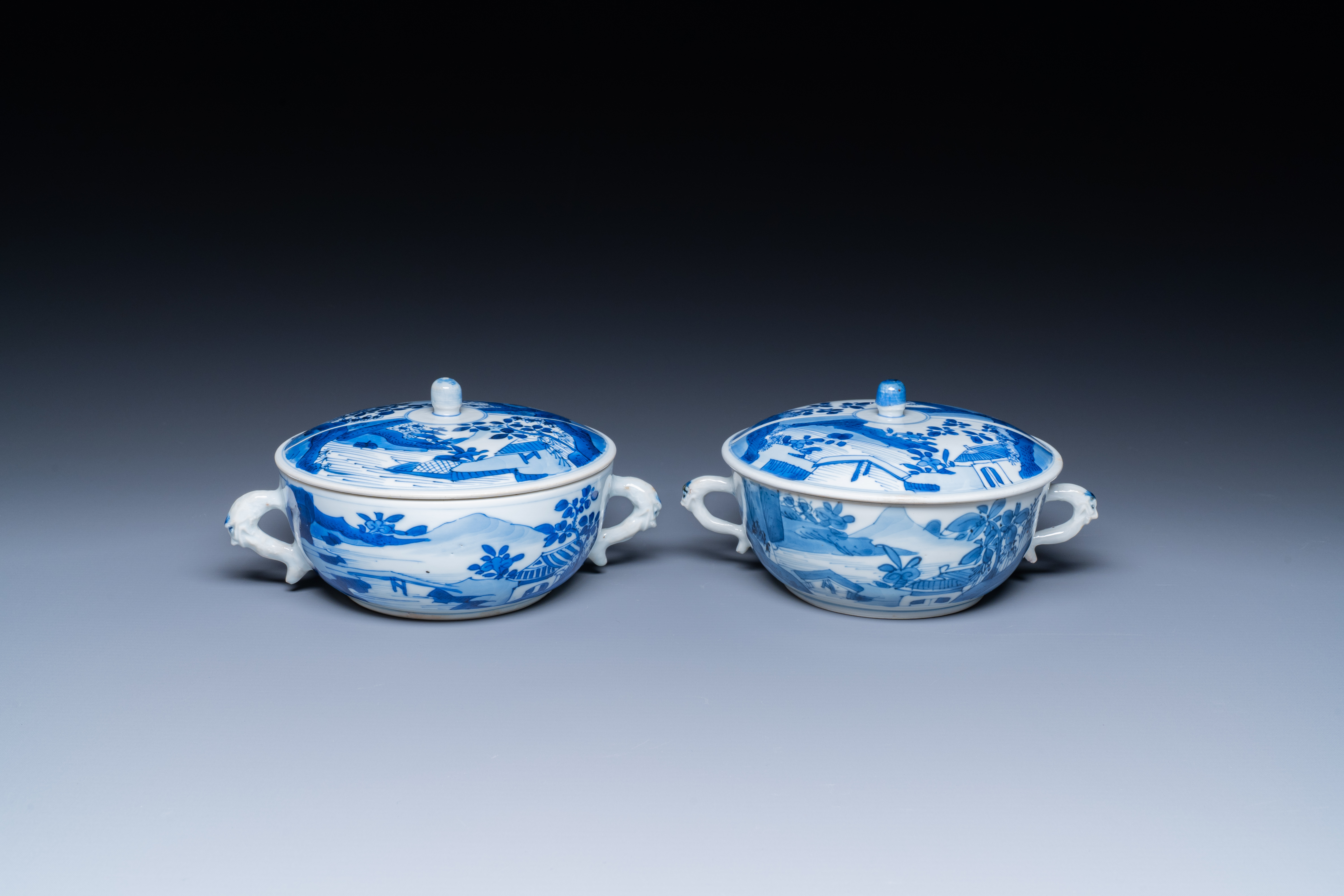 A pair of Chinese blue and white bowls and covers, Kangxi