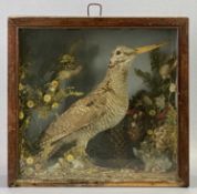 GLAZED CASE CONTAINING A WOODCOCK IN NATURALISTIC SETTING - 30cms H, 32cms W, 16cms D