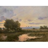 OIL ON CANVAS early 20th century - birds flying above marshland, indistinctly signed lower right,