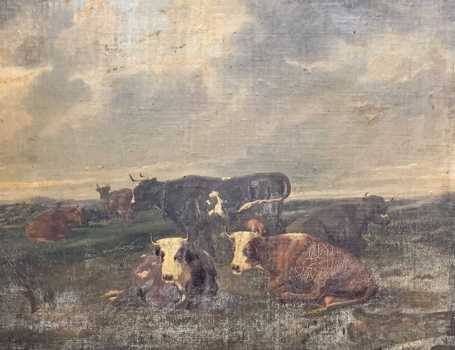 18TH CENTURY Oil painting on board - group of six cattle, indistinctly signed lower left, 52 x